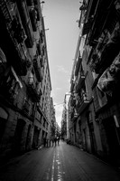 IMG_1929